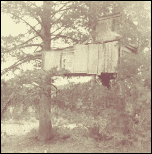 The Original Treehouse