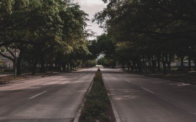 Work Walking